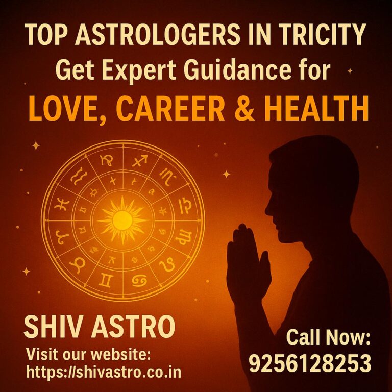 Top Astrologers in Tricity